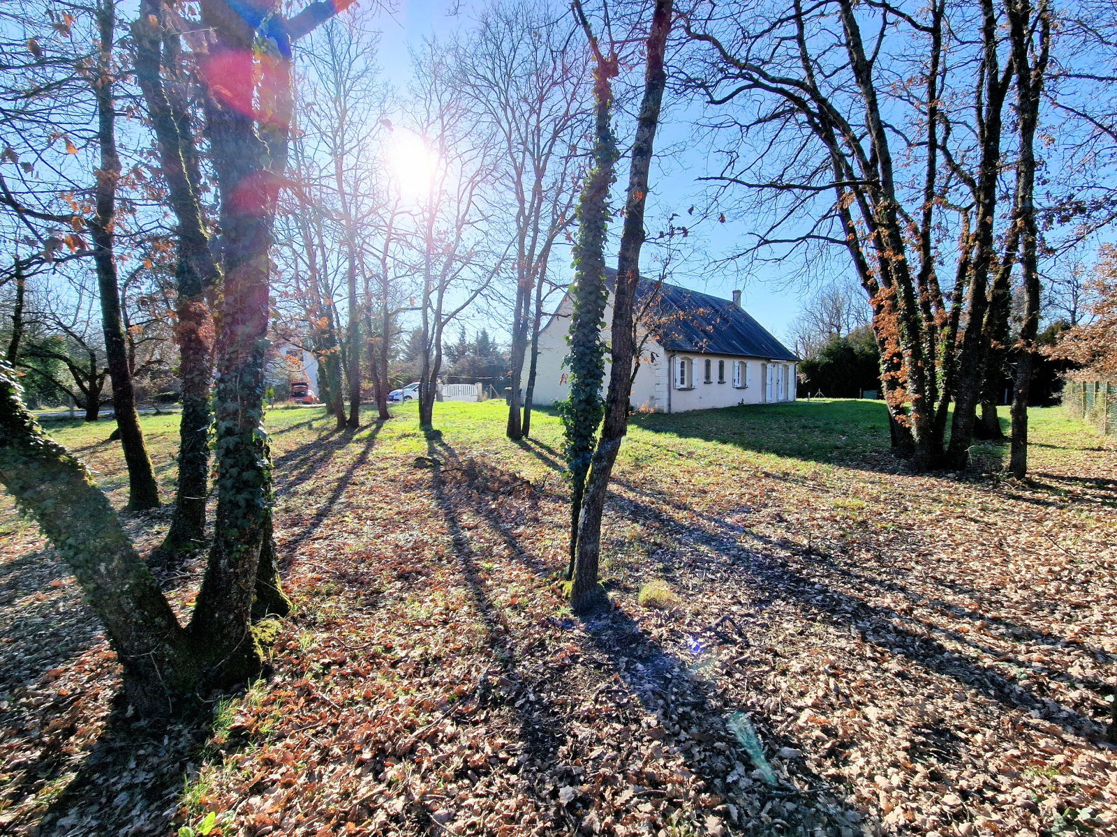 Image_, Maison, Athée-sur-Cher, ref :197